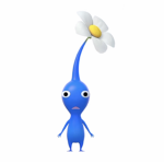 pop_cxrnzz