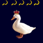 DUCKLING EMPIRE