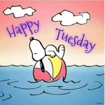 tuesday company