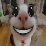 Hi grop Hi