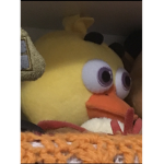 The Duck Iegion