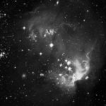 starsxcv