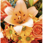 • Emily’s bouquets•