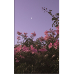 Lᴜᴠᴇʀ$ Cʟᴜʙ
