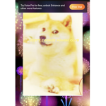 Izzy’s doge cookie club!