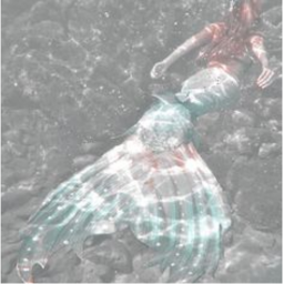 𝕡𝕦𝕣𝕖