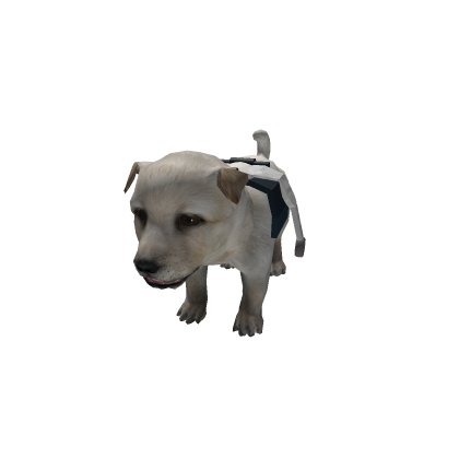 Dog Car | Louie's Custom