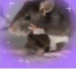 The best rat group