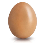 egg kingdom ......