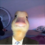 Mrs.Duckie squad