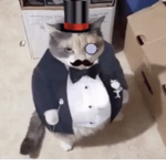 The Chungus Hun Family Chads