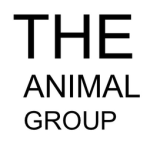 Elena’s doIl group!