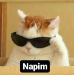 Napim Show
