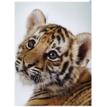 Tigery time!