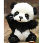Baby panda crew