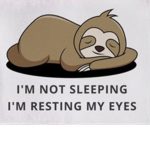Sleeping sloth society