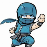 the blue ninjas.