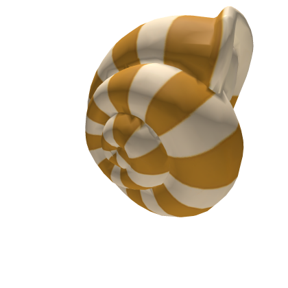 Sea Shell