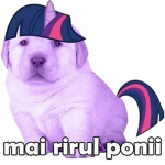 luizzxClan