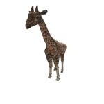 Mega Giraffe Pet (HUGE)