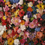 The Flower Feelings