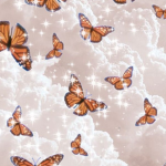 Aesthetic_Butterfly_Clothing