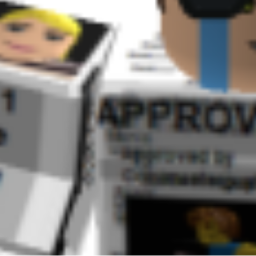what the roblox !