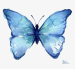 <The butterflies>