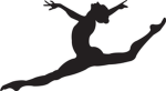 BCDA Dance COMMUNITY !