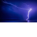 cat shot by lightning