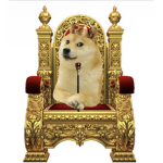 Castle for doges