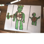 turtles are together
