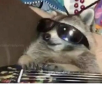 the rusty racoons