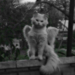 'Mythical~