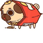 Thisgrouplikespugs