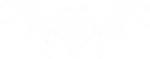 •KAIせんSENかい[KR]