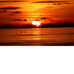 Roblox Sunset group-
