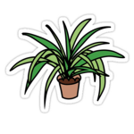 PLANT PRODUCTIONS !