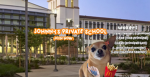 funny dog days