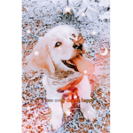 ~ Puppies ~