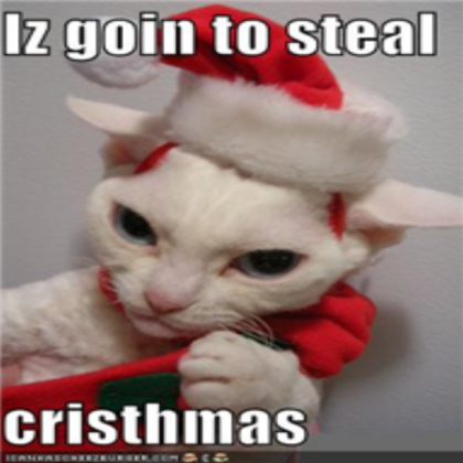 Cat Stealing christmas Roblox decal
