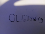 01_followin