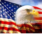 American Naval and Airforces