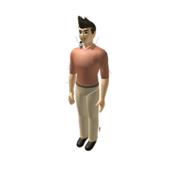 Anthro