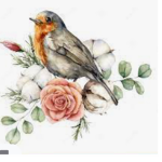 Robins and roses