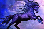 Purple Unicornz