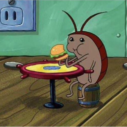 Roaches