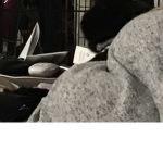#### ########## kitty kitty kitty