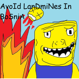 Avoid Land mines in bosnia
