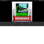 Brookhaven Fans Hangout